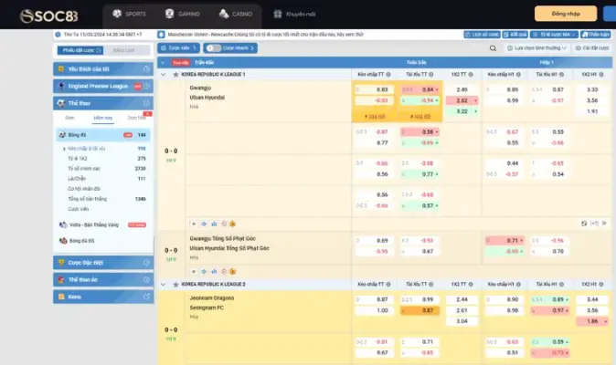 Những lưu ý cần biết khi chơi cá cược tại SOC88